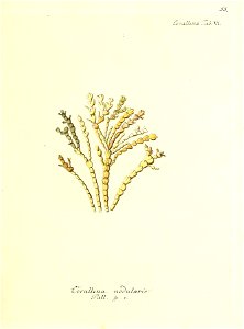 n112_w1150