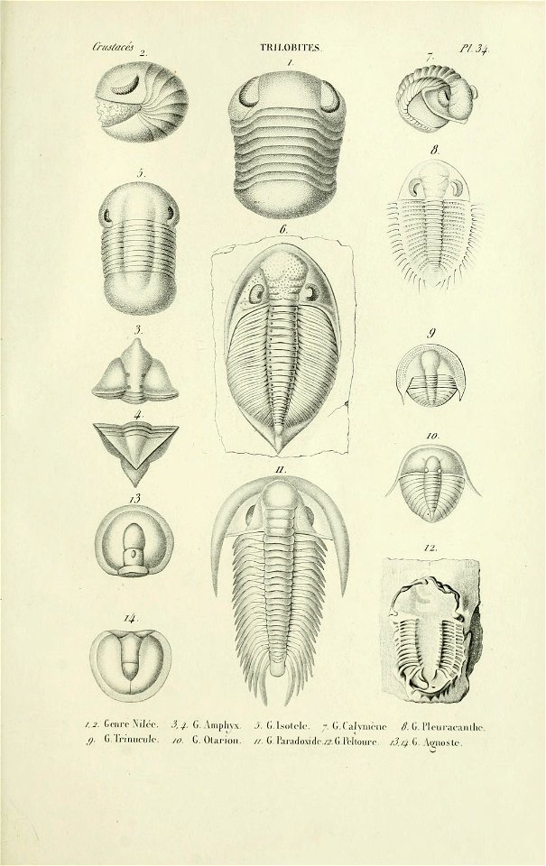 n110_w1150