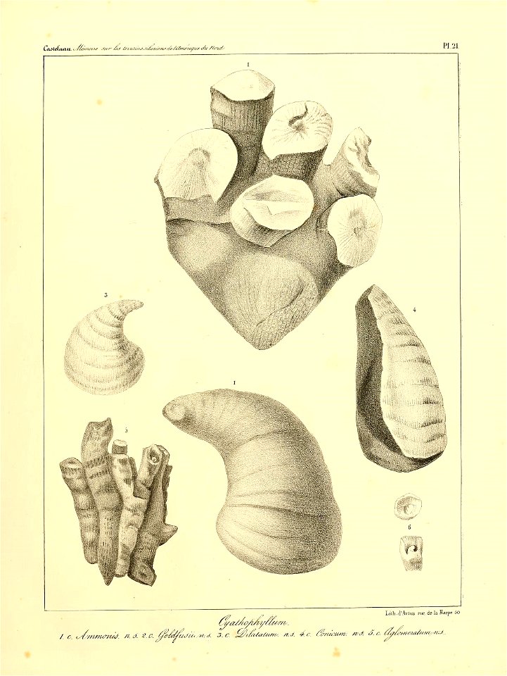 n46_w1150