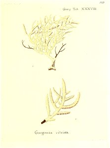 n228_w1150