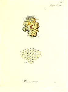 n138_w1150