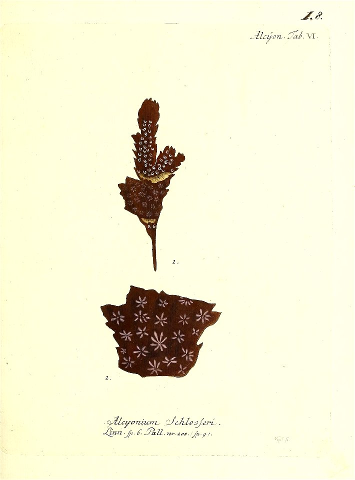 n18_w1150