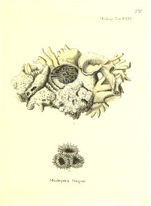 n156_w1150