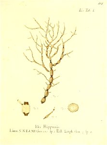 n256_w1150
