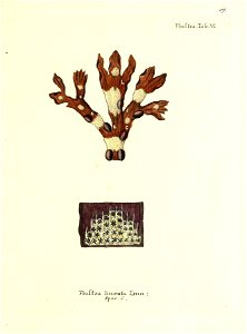 n136_w1150