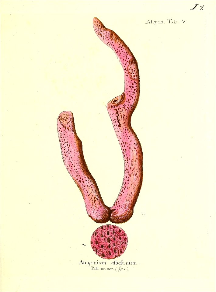 n16_w1150
