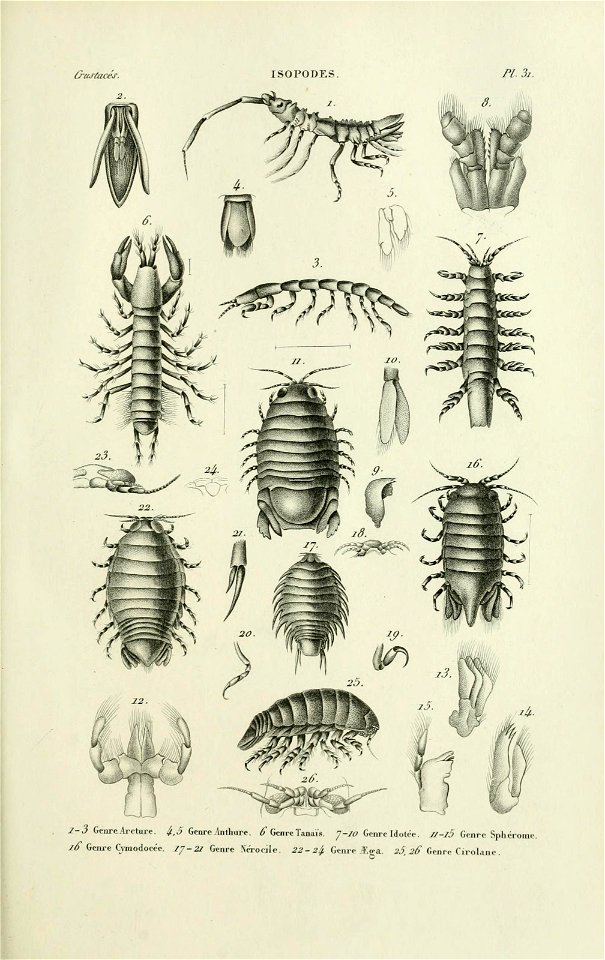 n104_w1150