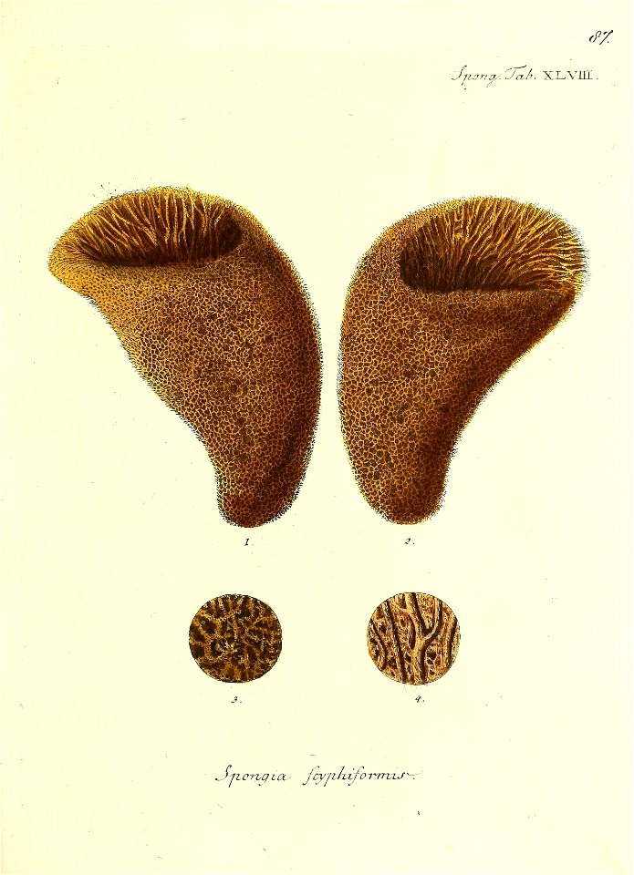 n176_w1150