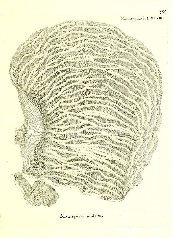 n184_w1150