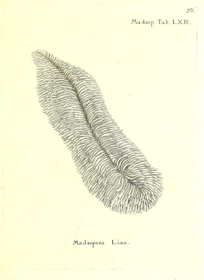 n154_w1150