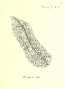 n154_w1150