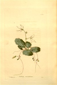 n181_w1150