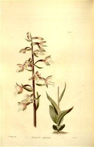 n119_w1150