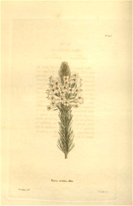 n103_w1150