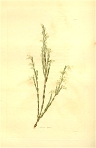 n134_w1150