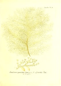 n120_w1150