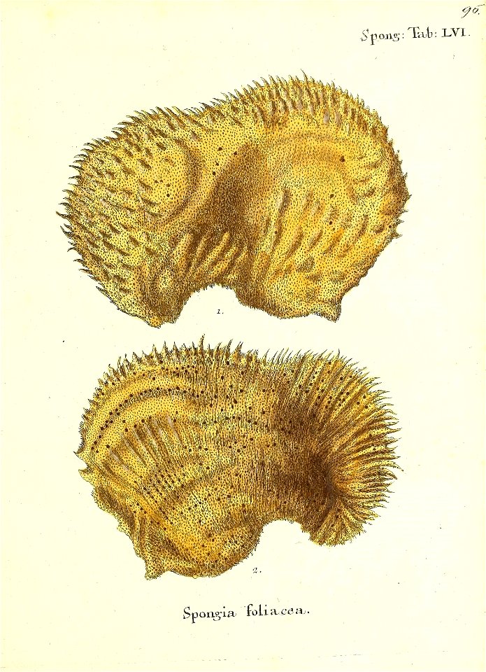 n194_w1150
