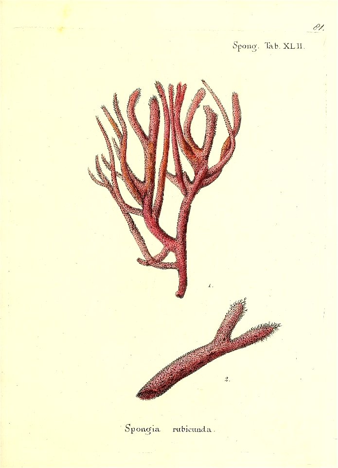 n164_w1150