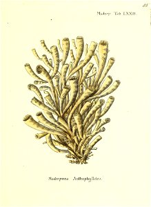 n172_w1150