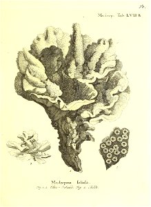 n142_w1150