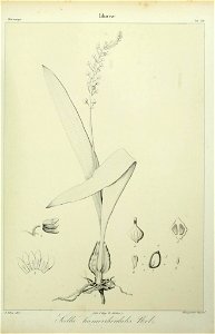 n192_w1150