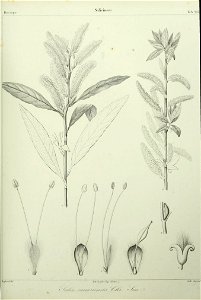 n162_w1150