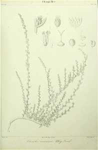 n132_w1150