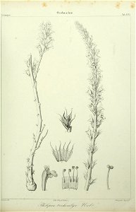 n102_w1150
