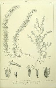 n42_w1150