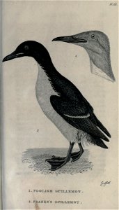 n308_w1150