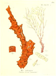 n266_w1150