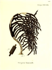 n206_w1150
