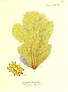 n146_w1150