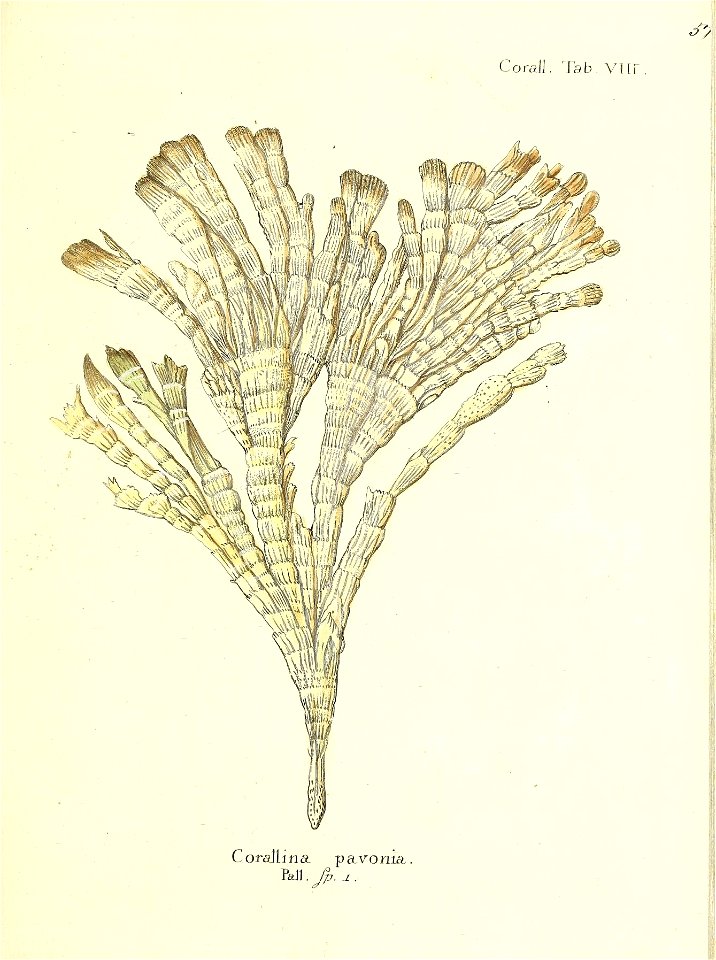 n116_w1150