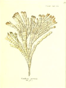 n116_w1150