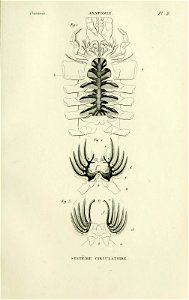 n54_w1150