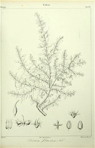 n156_w1150