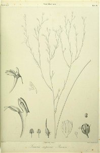 n96_w1150