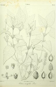 n154_w1150
