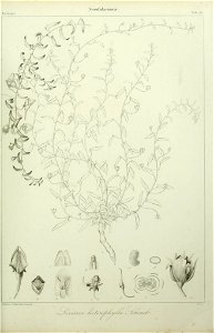 n94_w1150