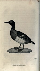 n257_w1150