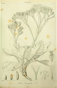 n122_w1150