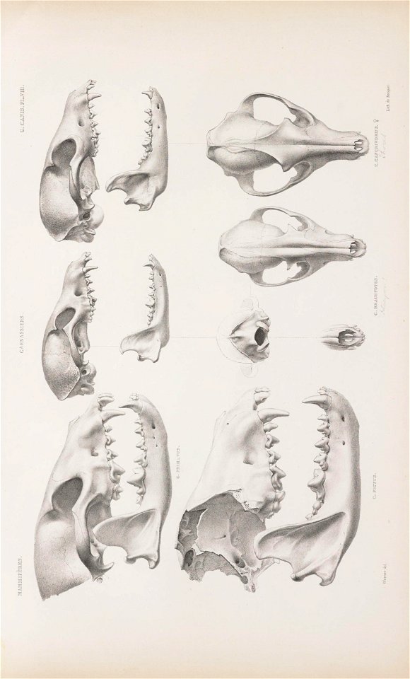 n214_w1150