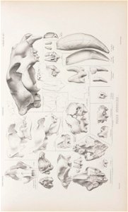 n184_w1150