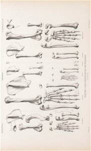 n122_w1150