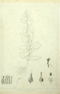 n90_w1150