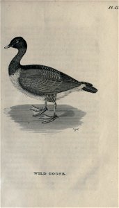n50_w1150