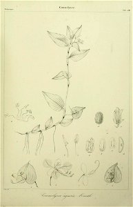 n208_w1150