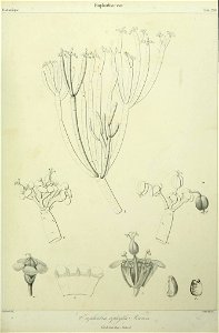 n148_w1150