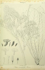 n118_w1150